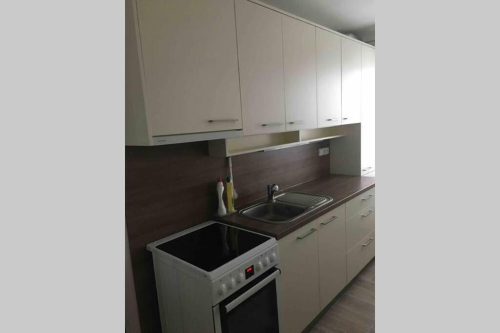 Family Apartment With Garden And Parking Spot Ceske Budejovice Ngoại thất bức ảnh